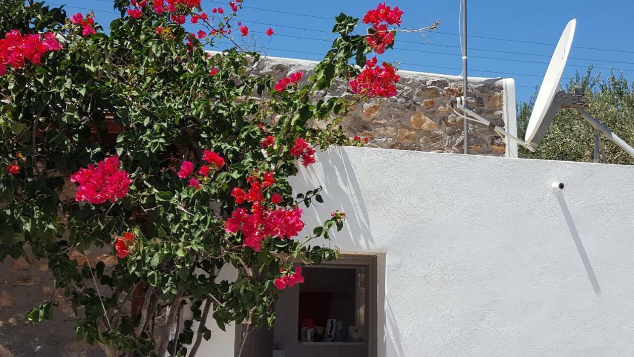 Flora'S Beach And Pool Villa In Syros Liaropá 外观 照片
